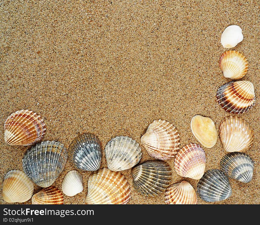 Frame from shells on sand. Frame from shells on sand