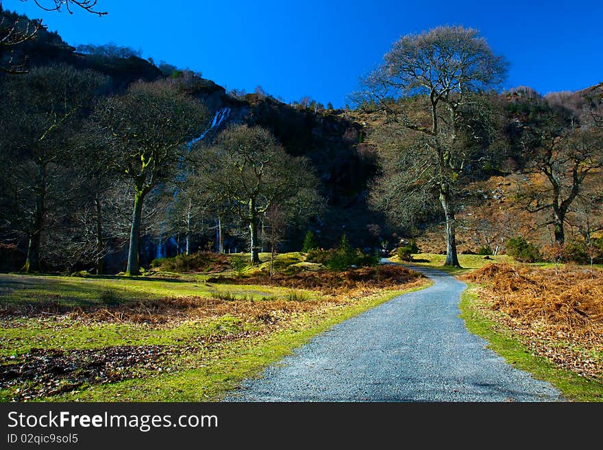 Amazing landscape in Powerscourt National park