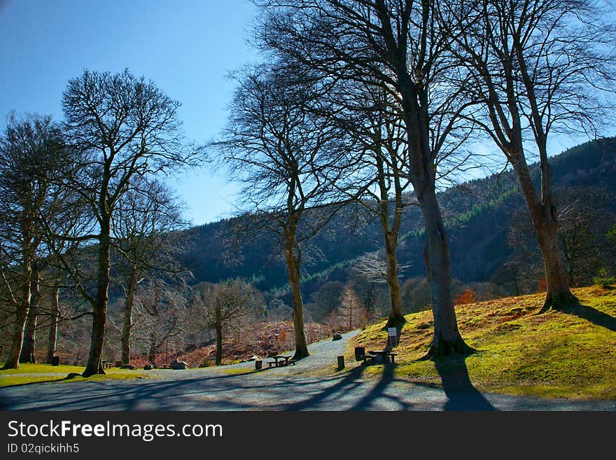 Amazing landscape in the Powerscourt National park