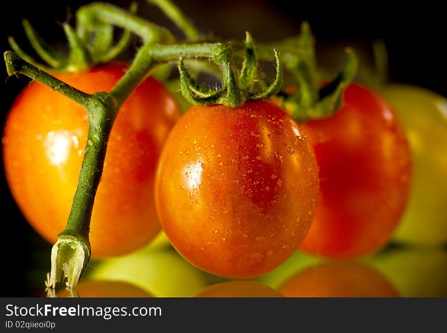 Fresh tasty red wet tomatoes on the glass. Fresh tasty red wet tomatoes on the glass