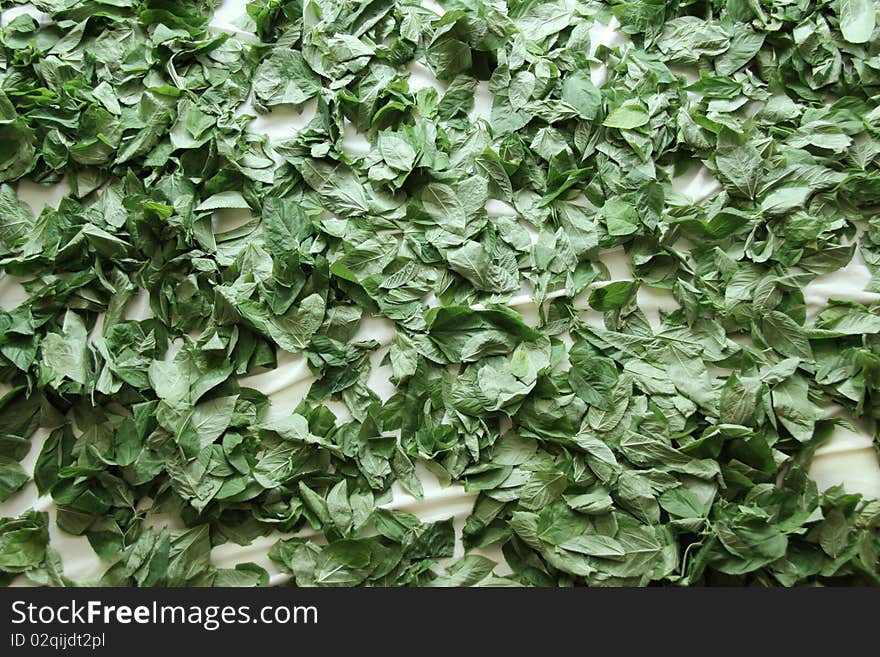 A pattern of corchorus leaves on white carpet. A pattern of corchorus leaves on white carpet