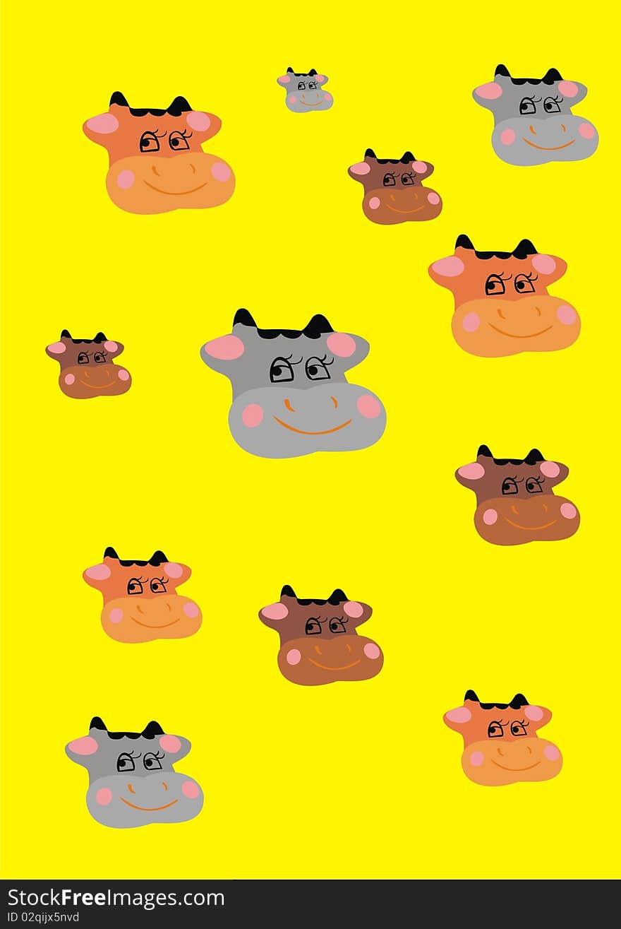 Cows