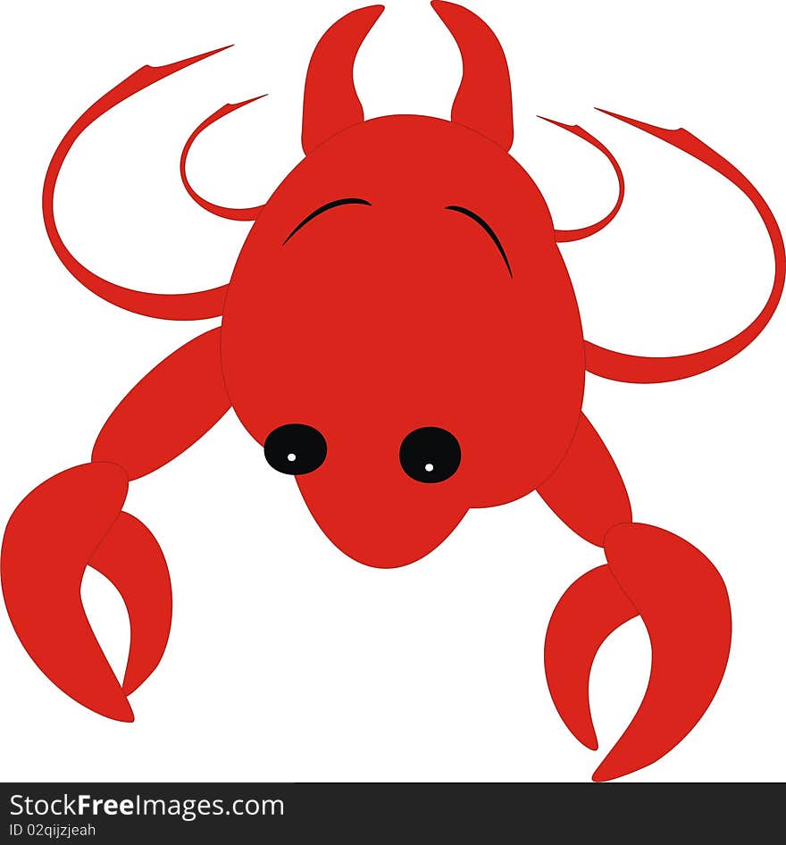 Small crab