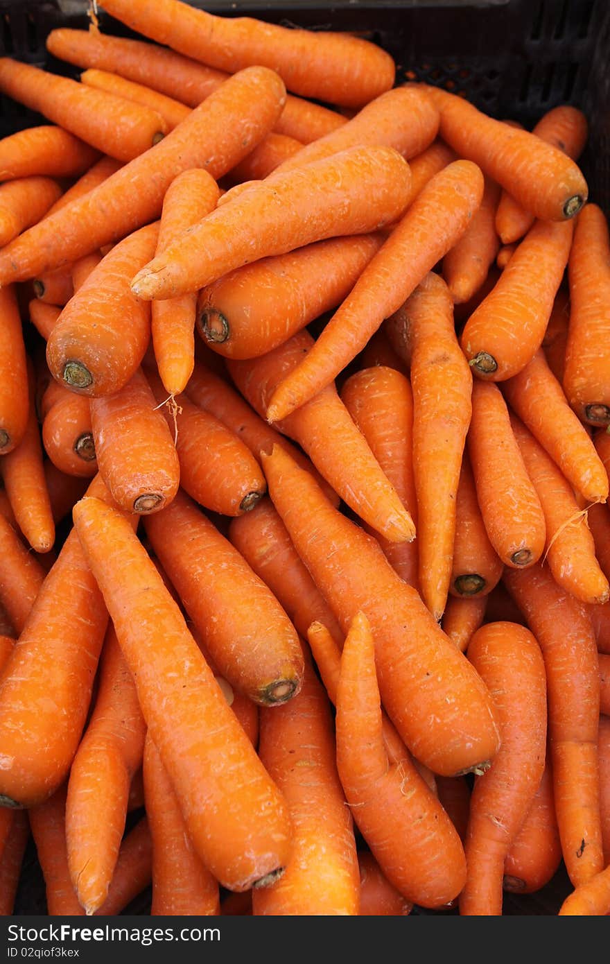 Carrots on Farmer's Market in Munich