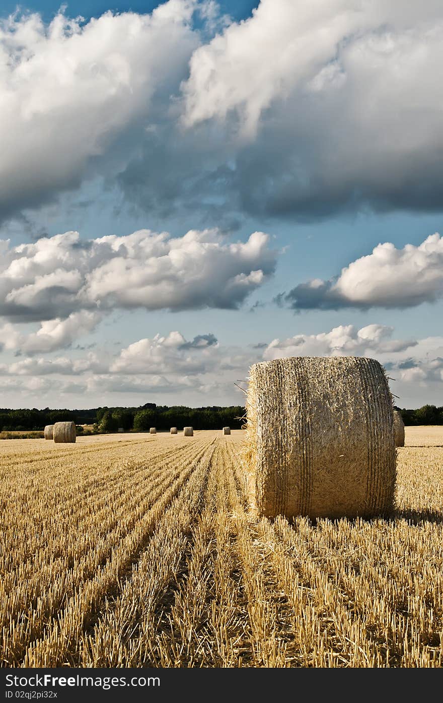 Hay bale roll on field with clouds