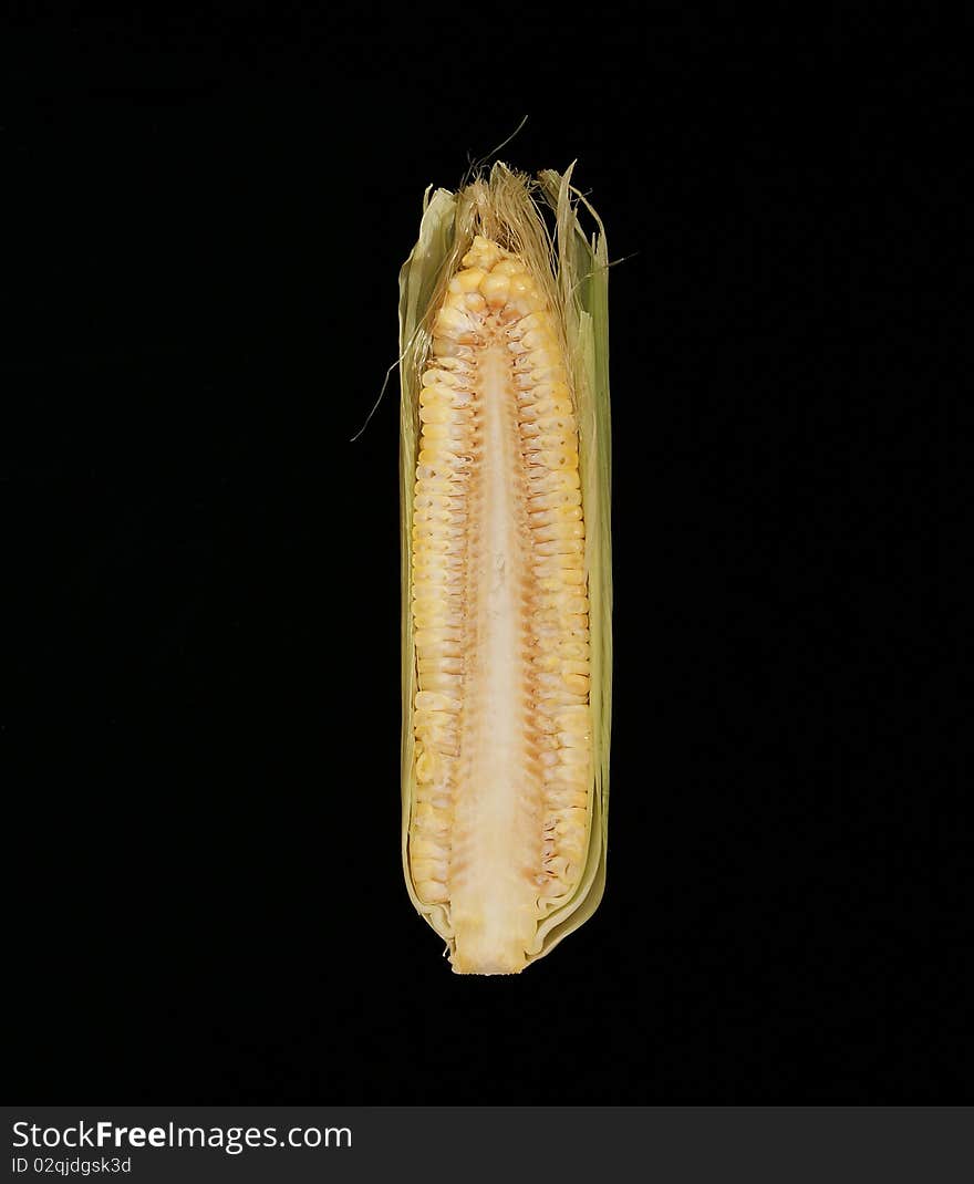 Natural corn cob. In isolation