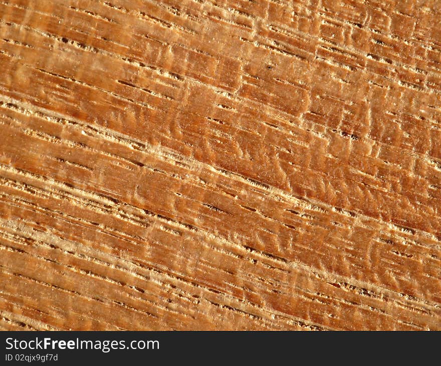 Details of surface of brown teak wood.