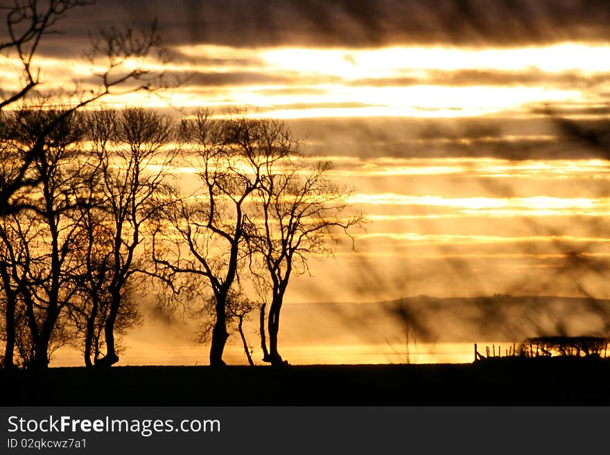 Golden Sunset