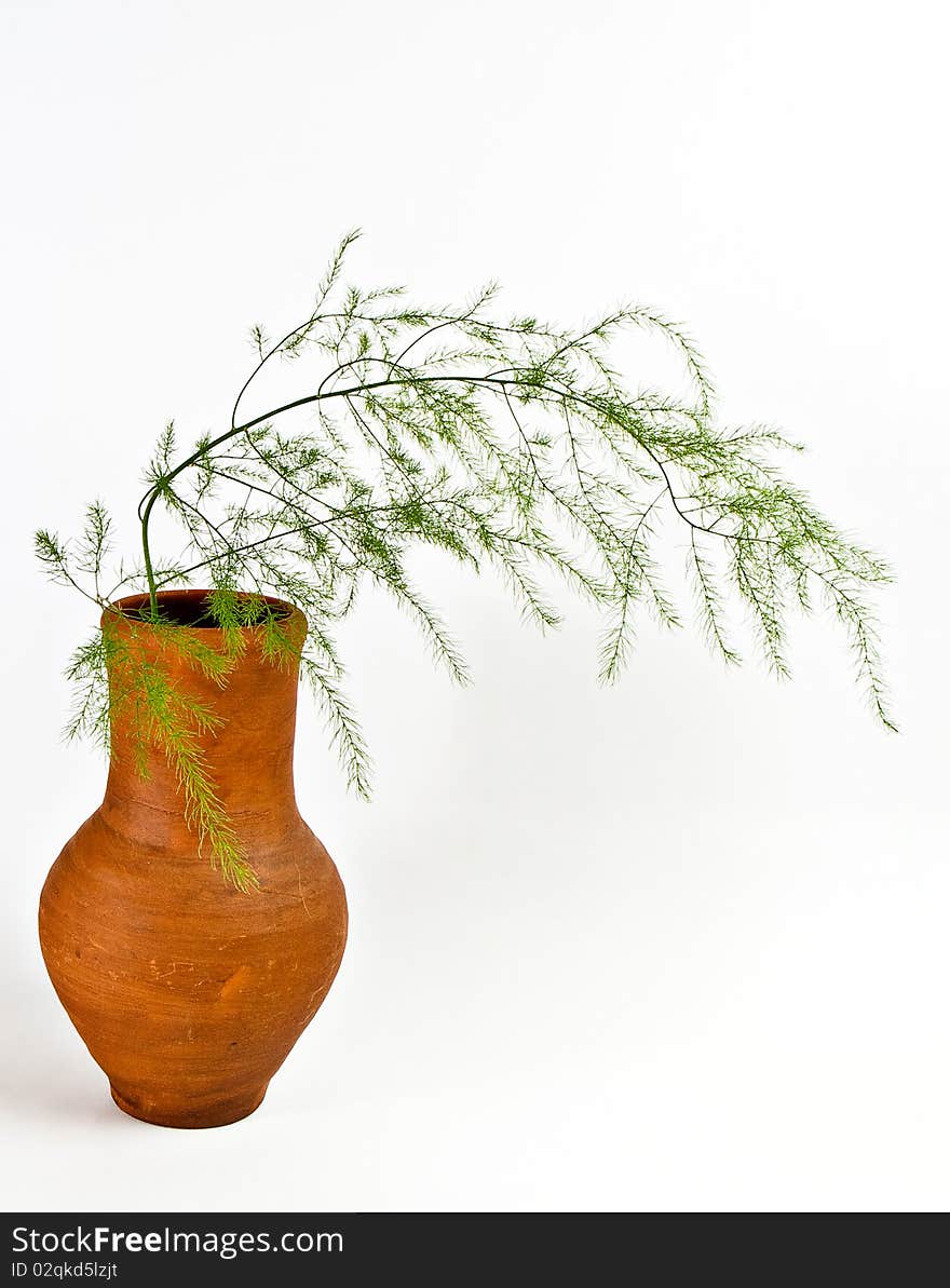 Jug With Decorative Grass