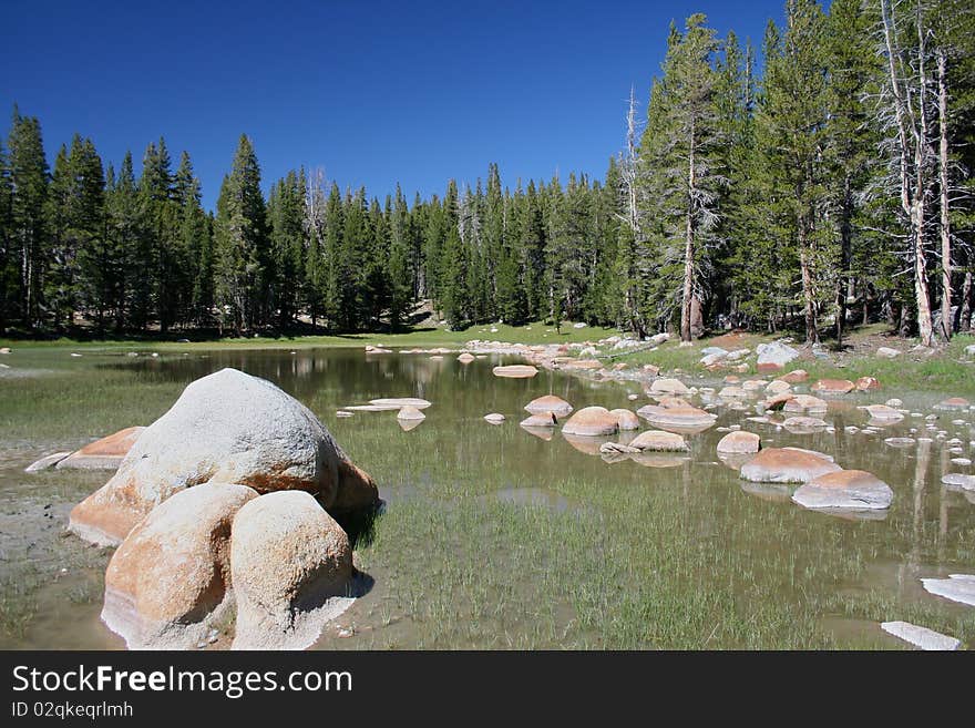 Pond at Yosemite