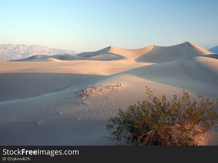 Sand dunes in death valley.