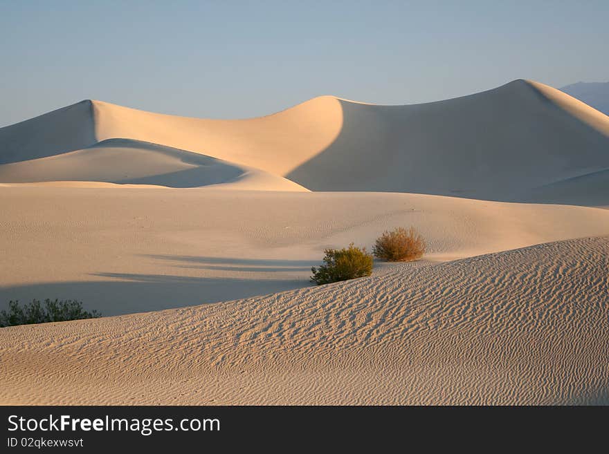 A sand dune with ripples. A sand dune with ripples.