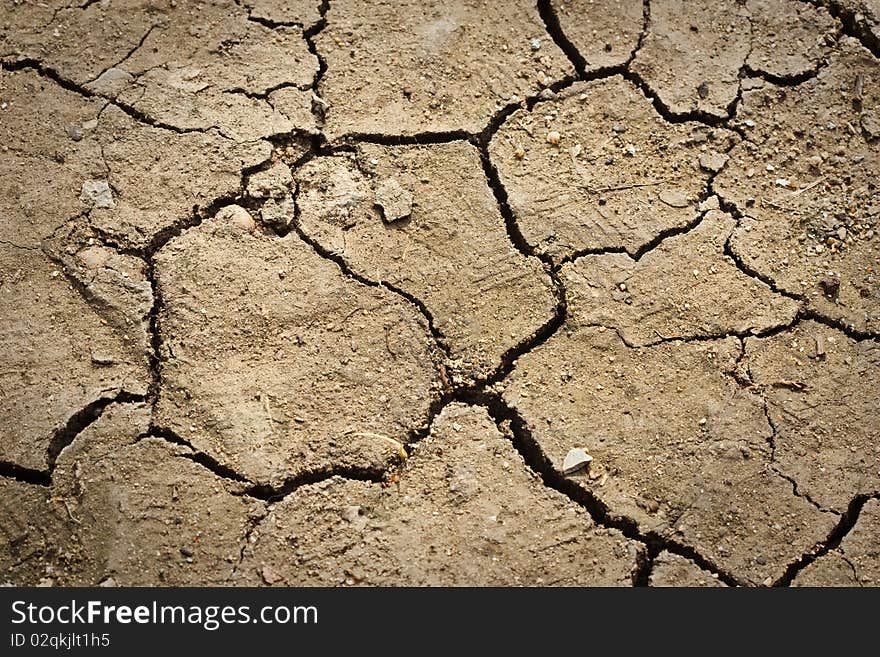 Dry Cracked Soil