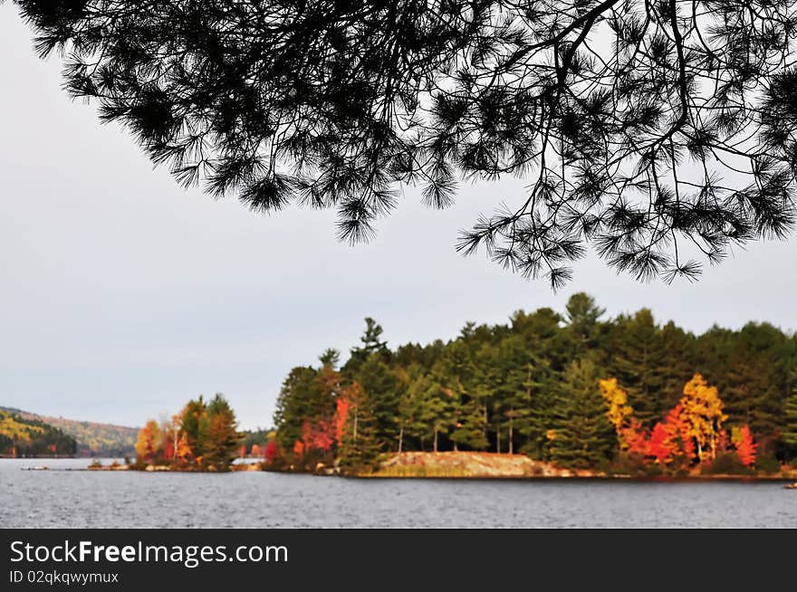 Autumn landscape. Algonquin Park, Ontario, Canada. Autumn landscape. Algonquin Park, Ontario, Canada