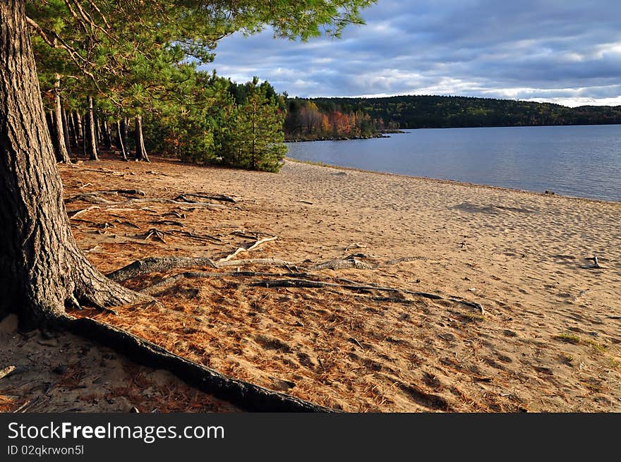 Fall Scenic on sunset. Algonquin Park, Ontario, Canada. Fall Scenic on sunset. Algonquin Park, Ontario, Canada