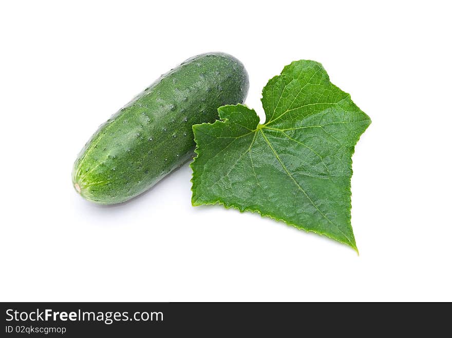 Fresh cucumber with leaf