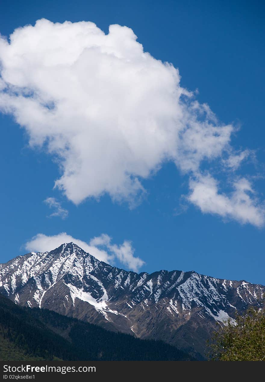 Mountain landscape with green trees covered and white cloudscape