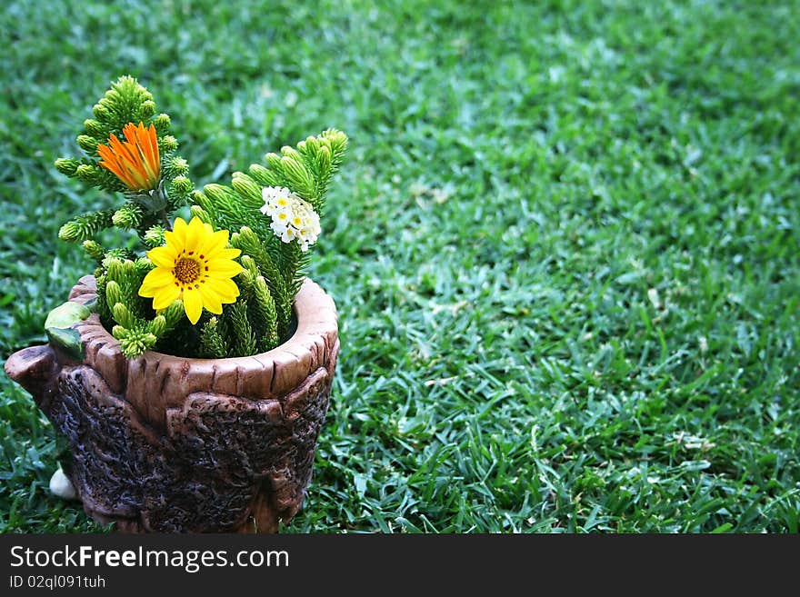 Yellow and orange daisies,white lantana flowers in vase on green grass.