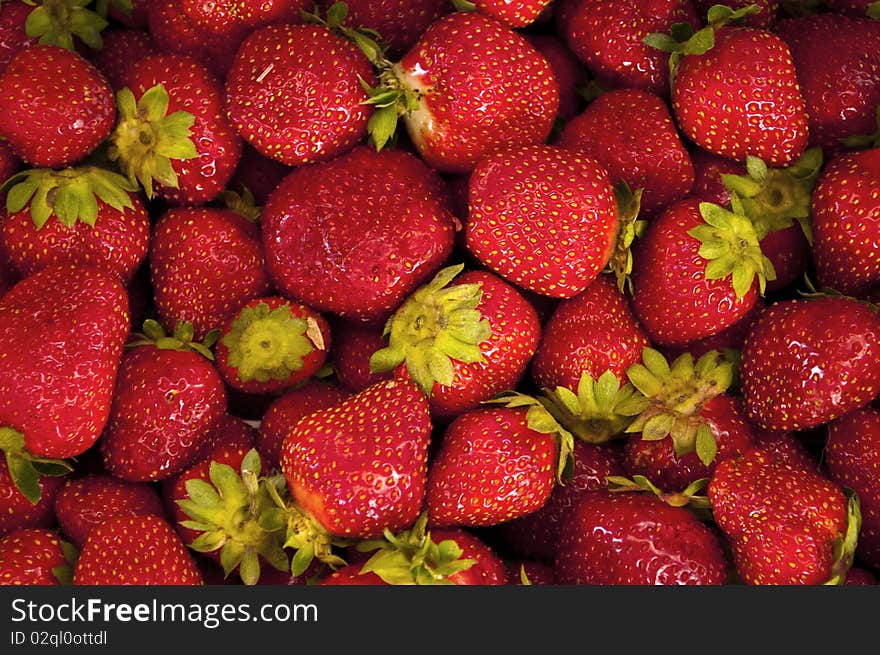 Fresh strawberries right after being picked