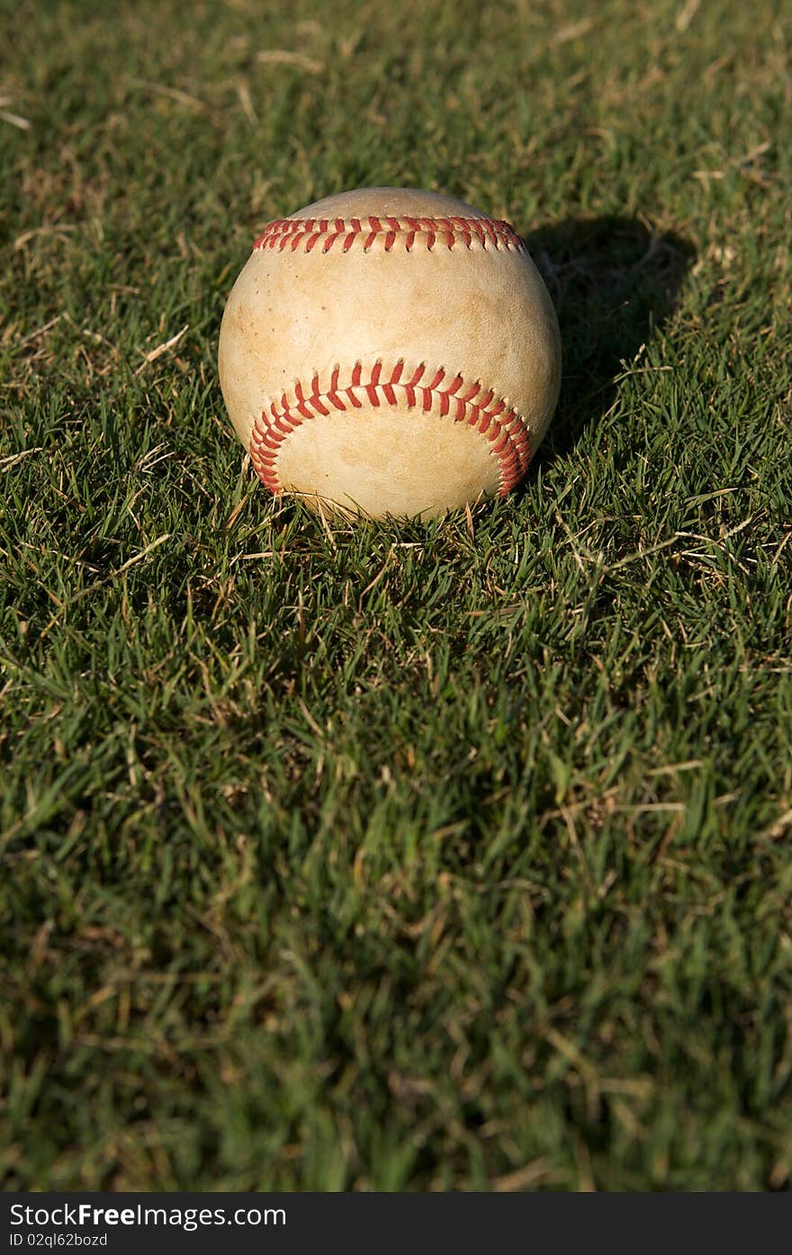 Baseball In The Grass