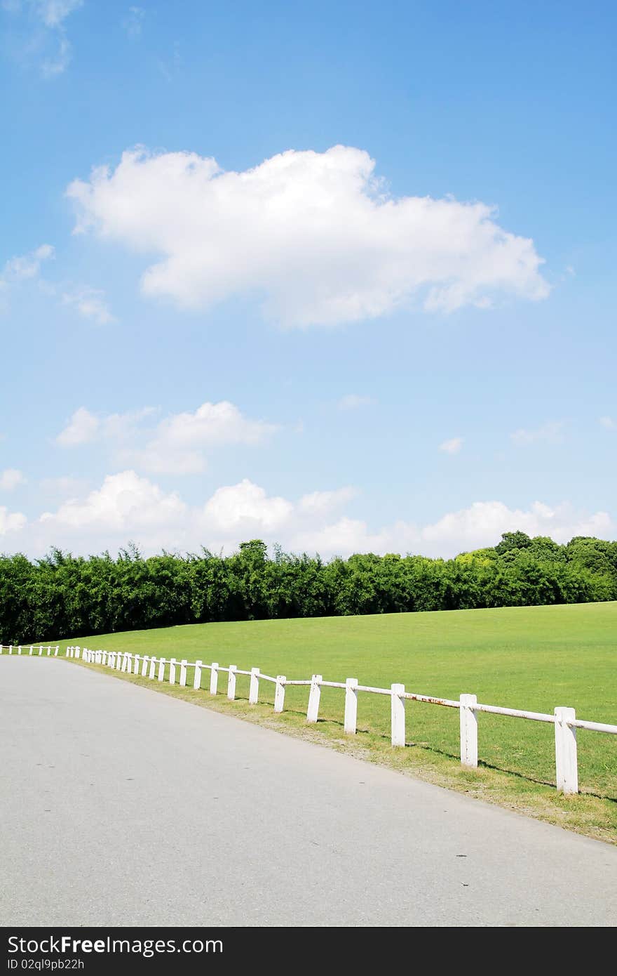 Park's lawns and trees and road. Park's lawns and trees and road