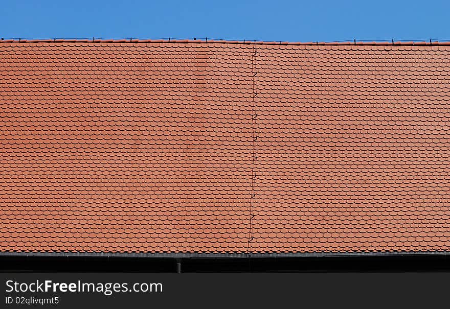 The image shows details of a roof with the in the background. The image shows details of a roof with the in the background.