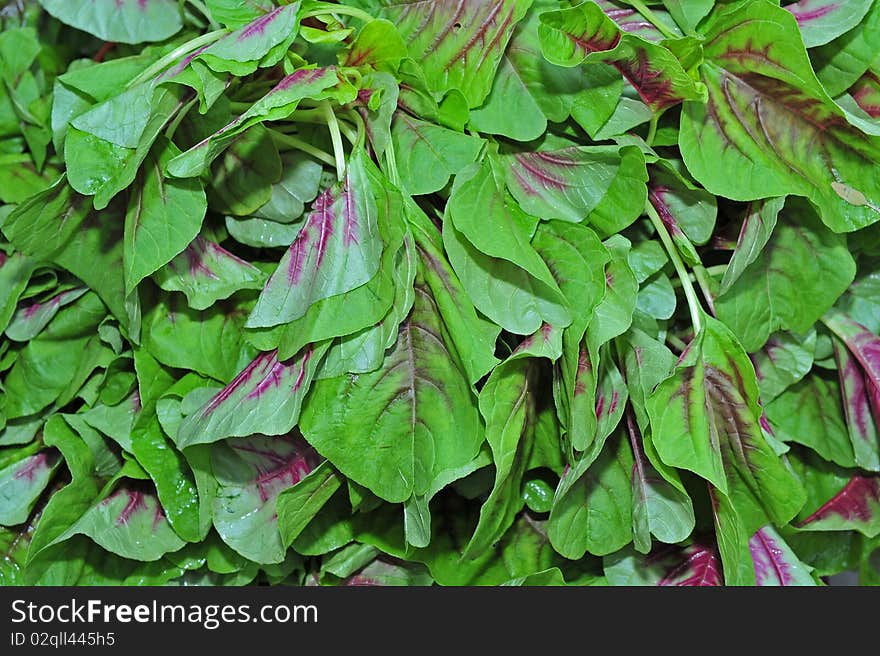 Green vegetables leaves