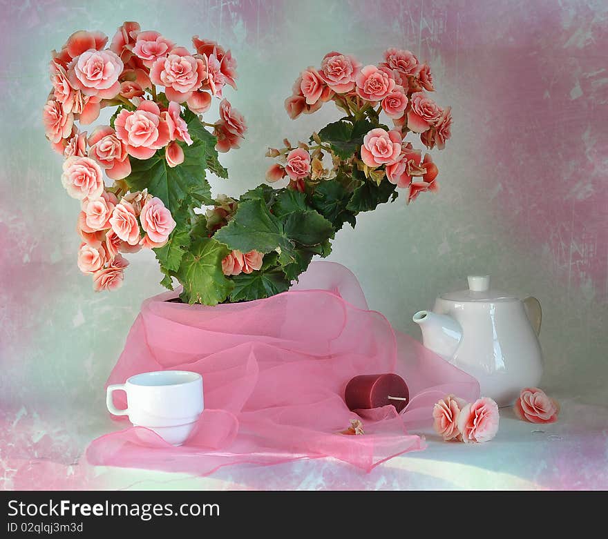 Still life with roses