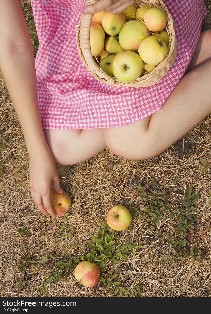 Girl collects the apples