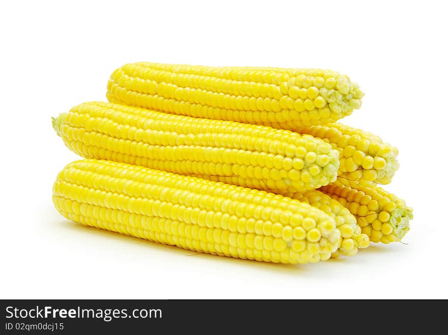 Sweet maize isolated on white background