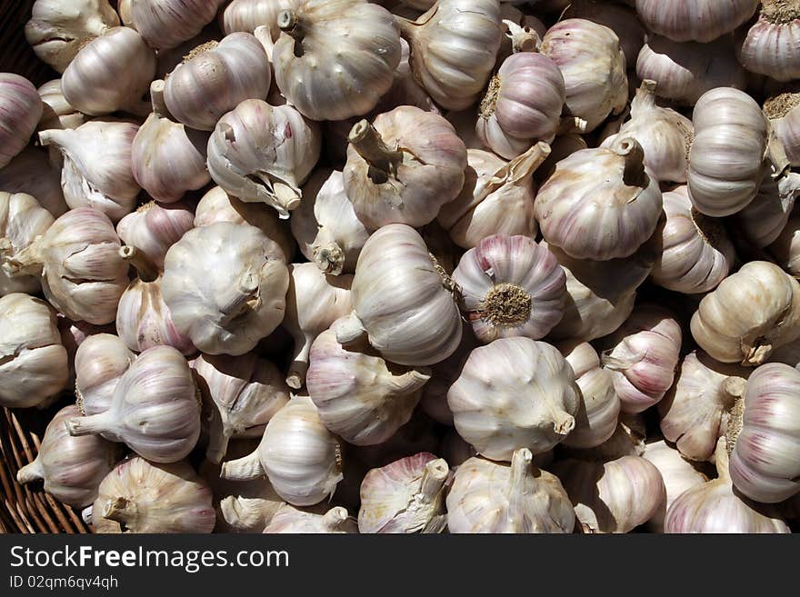 Garlic