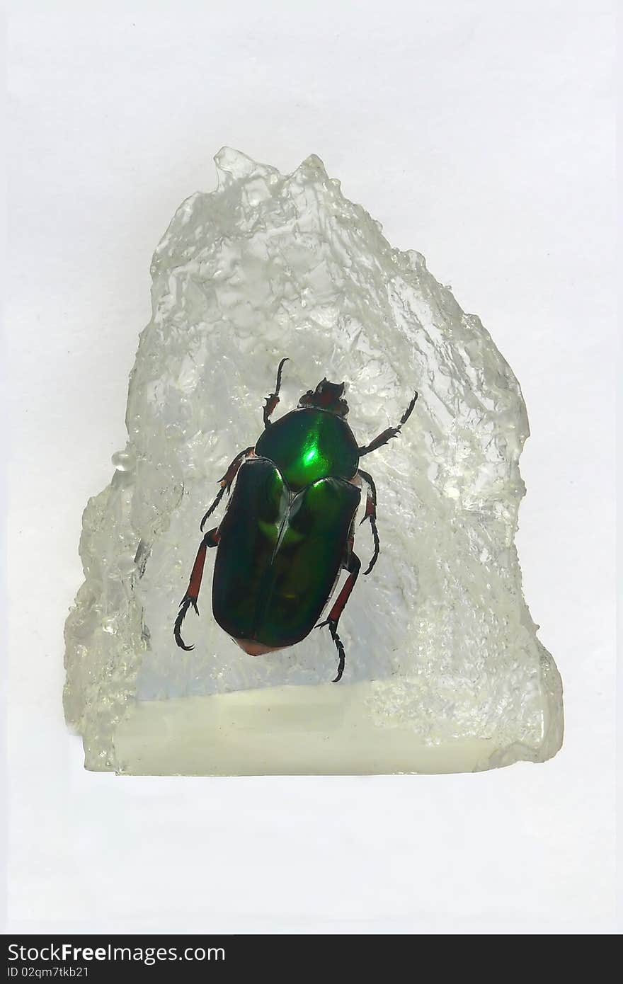 A beetle embedded in a crystal.
This kind of souvenirs are sold in Malasia. A beetle embedded in a crystal.
This kind of souvenirs are sold in Malasia.