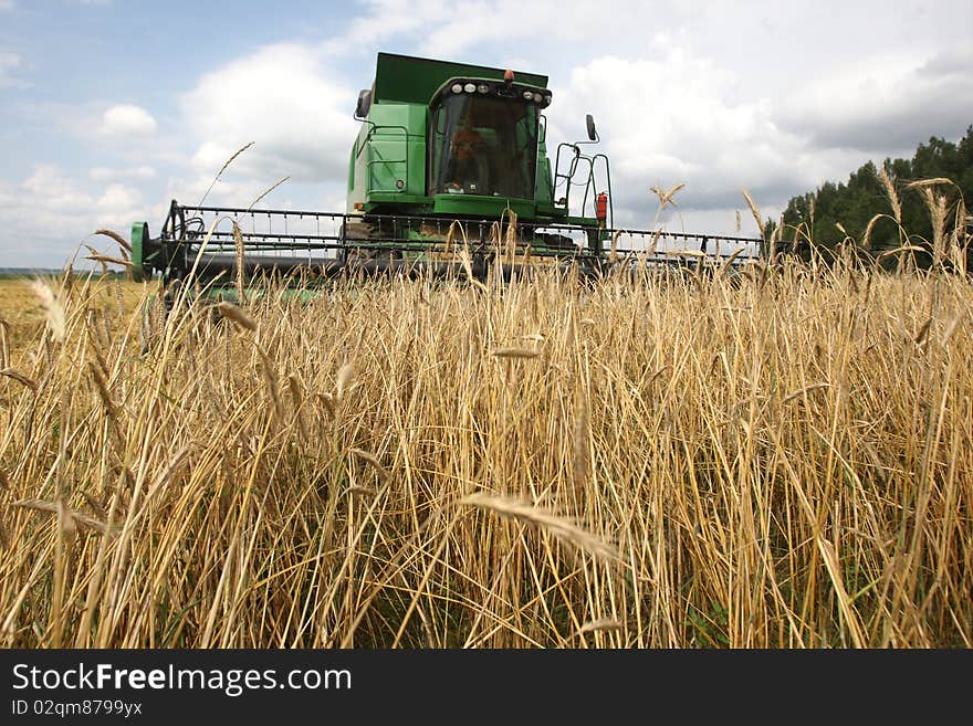 Machine harvesting the corn field