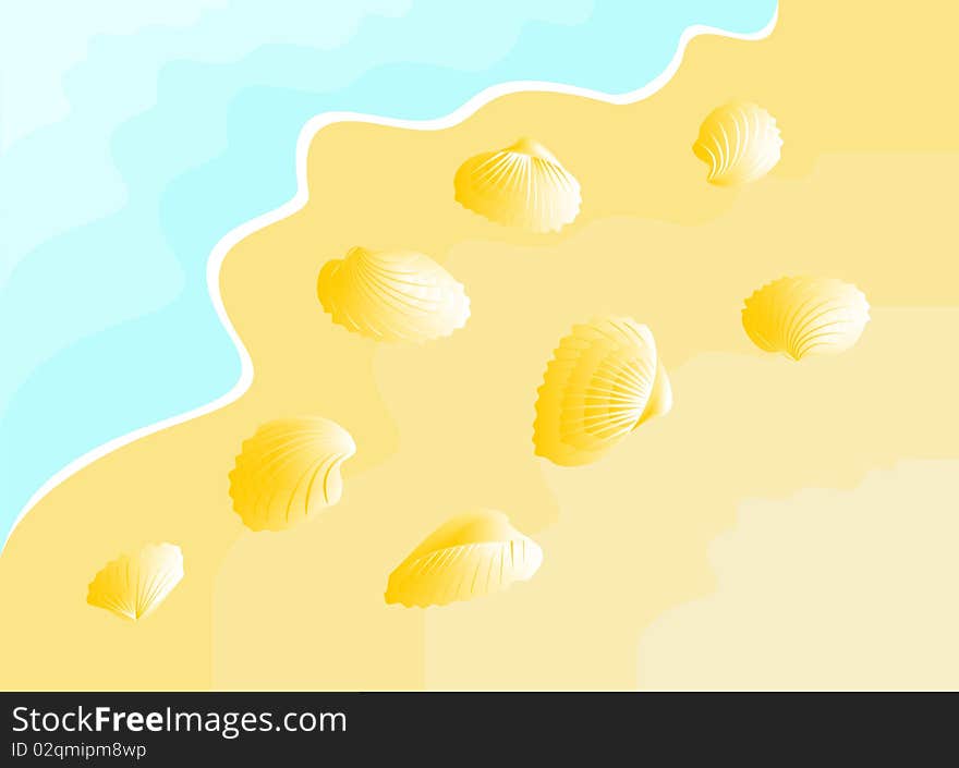 Seashell