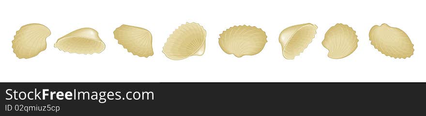 Sea cockleshells abreast. Vector illustration.