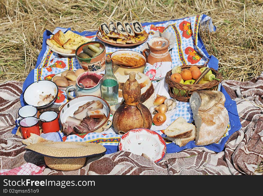 Picnic On Meadow