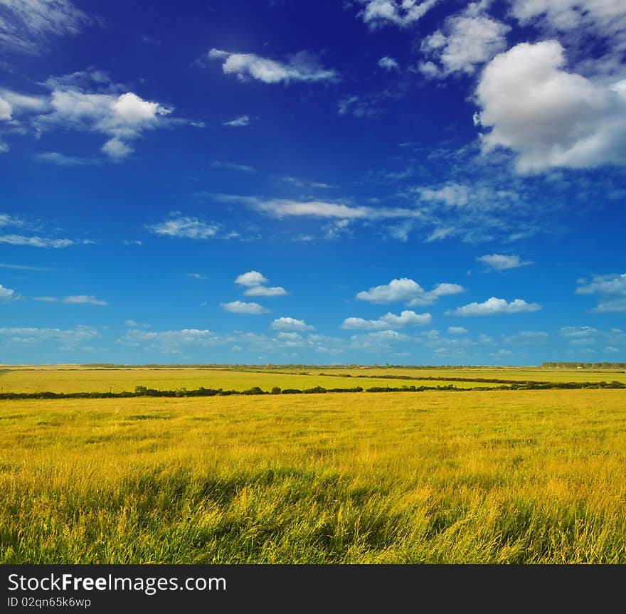 Fresh summer plain landscape under the blue sky