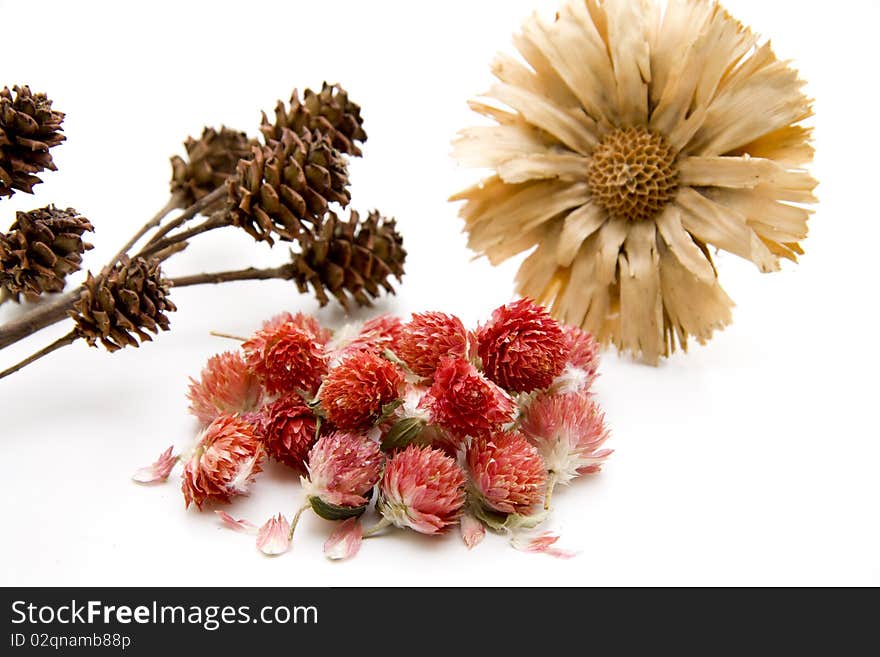 Dry flowers