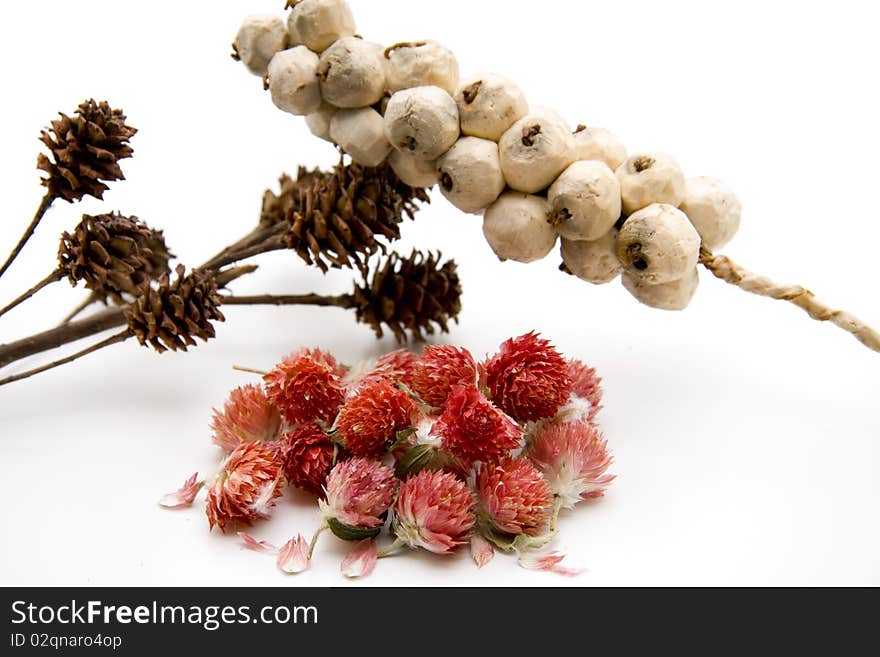 Dry flowers