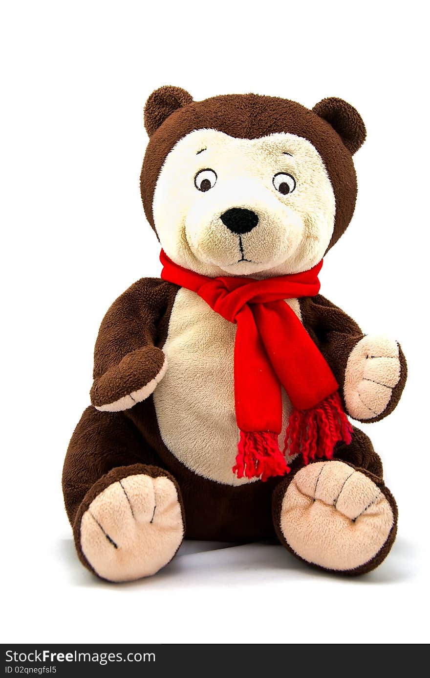 Studio shot of teddy bear against white background