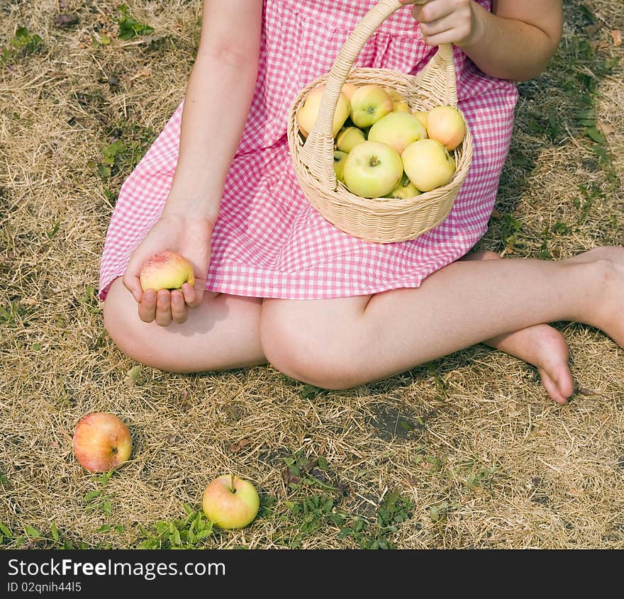 Girl collects the apples