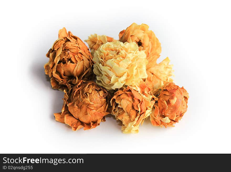 Jasmine flower tea isolated on the white background. Jasmine flower tea isolated on the white background