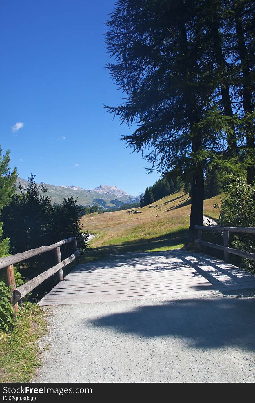 Mountain trail between pastures and forests. Mountain trail between pastures and forests