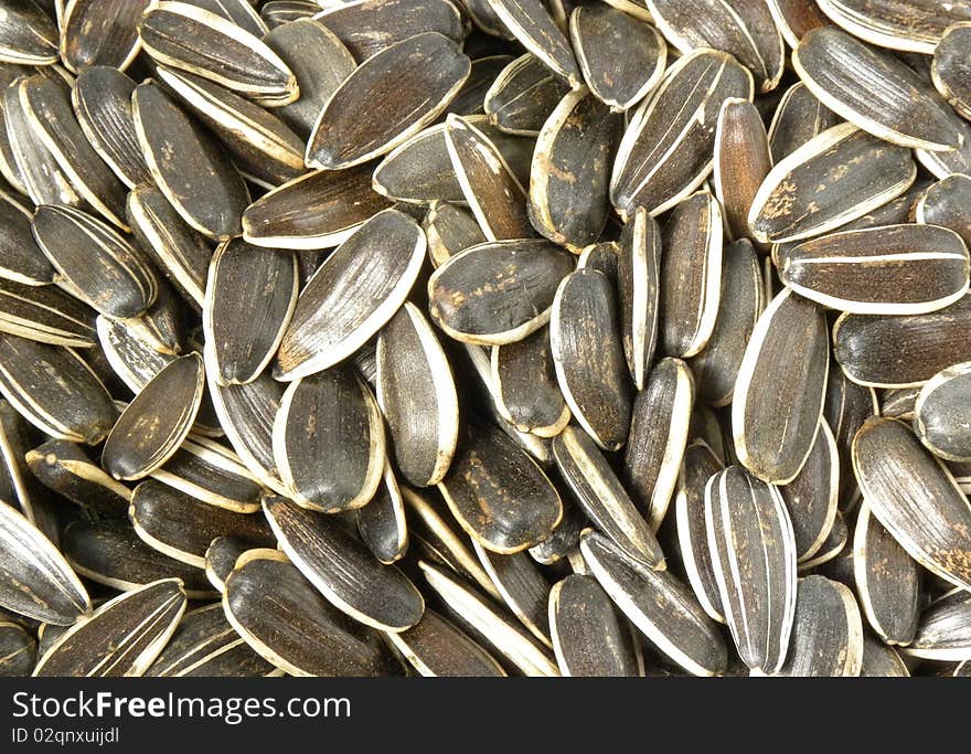 Sunflower Seeds