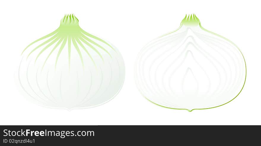 Vector Onion