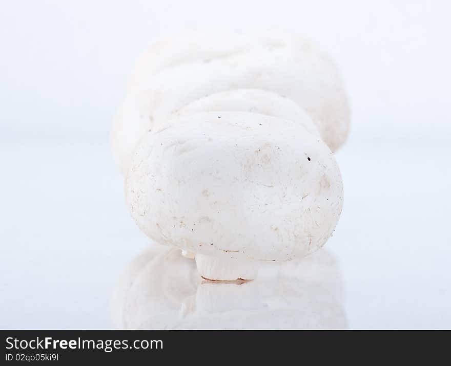 Group of champignons on white background. Group of champignons on white background