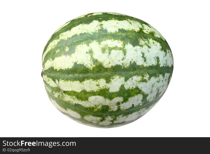 The image of watermelon under the white background. Focus is under the center of watermelon