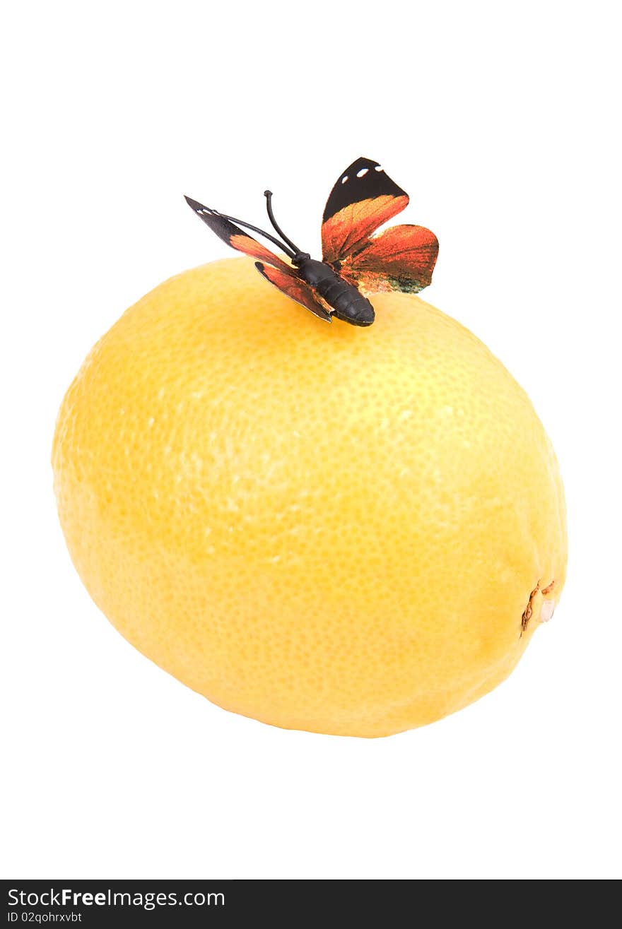 Butterfly on a lemon