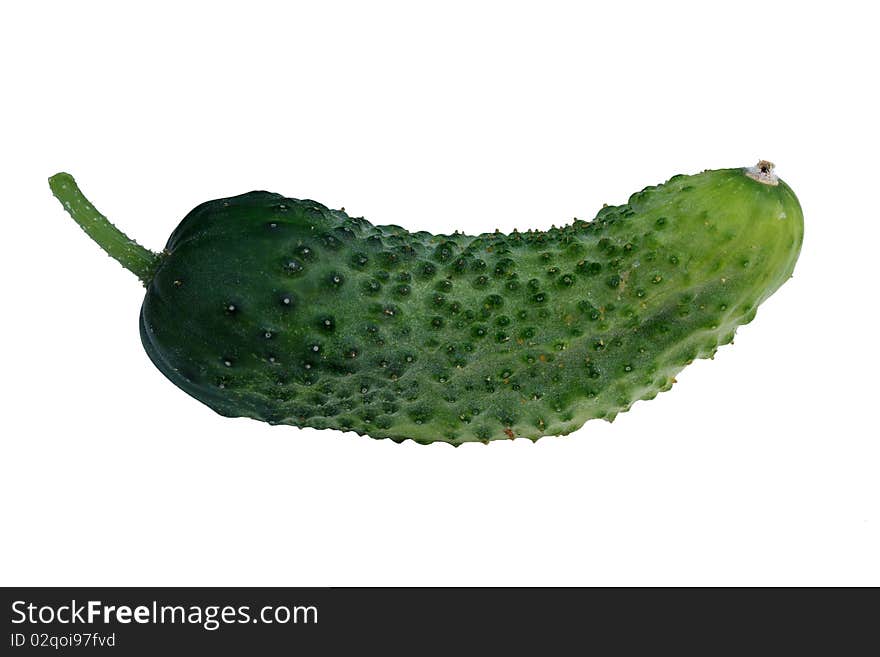 Cucumber