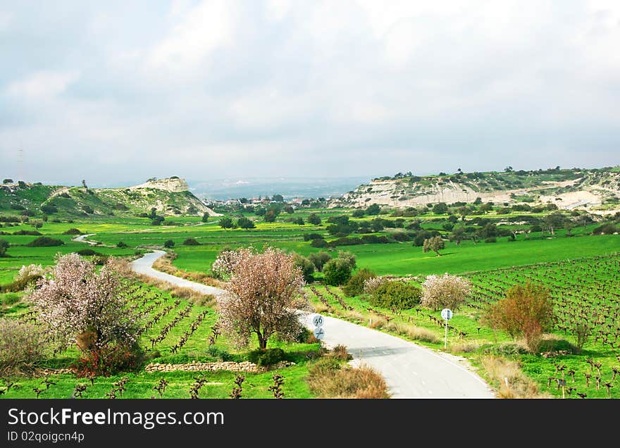 Cyprus landscape with hills,meadows,trees and orchards.